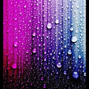 Meet your Posher, Payton